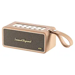 Портативна акустика 2E SoundLegend BT 5.3 PowerBank IPX6 RGB Brown 80 Вт (2E-BSSLWBN)