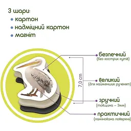 Набір магнітів Magdum Птахи ML4031-30 EN - мініатюра 6