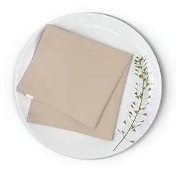 Набір серветок Cosas Biscuit 2 шт. 30х30 см бежевий (Set-2Serviette_RanforsBeige_30) - мініатюра 4