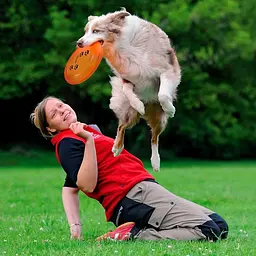 Іграшка для собак Trixie Літаюча тарілка Dog Activity, 23 см (33562) - мініатюра 4