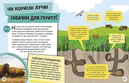 Енциклопедія юних розумників Ранок Допитливим сюди. ДОВКОЛАПИТАНЬ - Ненсі Дікман (НЕ1745007У) - мініатюра 7