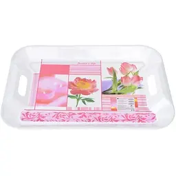 Піднос 46.2x32,7cm Аделаїс NRP18TRAY