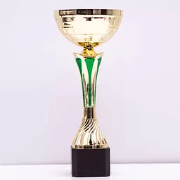 Кубок К1305C нагорода для масових заходів на дерев`яній основі h23см