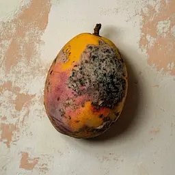 Borntostandout Black Mango унісекс парфумована вода 50 мл - мініатюра 2