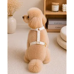 Шлейка для собак Teddy Premium XS Multibrand zoo0005542