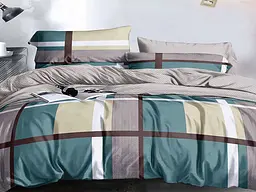 Комплект постільної білизни Ecotton Євро 210х220 см Клітка сіро-зелений (24104) (24104)