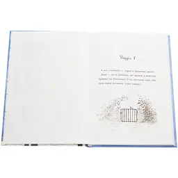 Даня та її клопоти - Рус Лаґеркранц (9789669797216) - мініатюра 4
