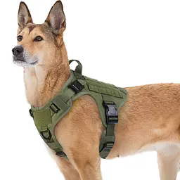 Шлейка для собак Harness K9 Long, металева пряжка фастекс і система MOLLE, Зелений, М - мініатюра 3