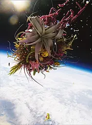 Flower Art. Makoto Azuma - мініатюра 12