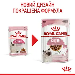 Набір для кошенят Royal Canin + Bronzedog + Eastland + Georplast + Мафін + Trixie + Barksi - мініатюра 3