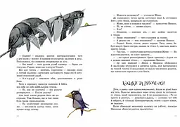 Пригоди Мишка та його друзів. Дачні історії - Станіслав Соловінський (S1064006У) - мініатюра 5