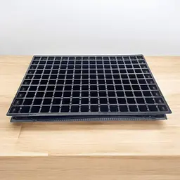 Касета для розсади 60×40×5 см, пластикова, 160 V-осередків (40 см³), без піддону