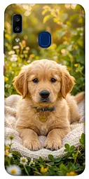 TPU чохол Demsky Small labradore для Samsung Galaxy A20 / A30