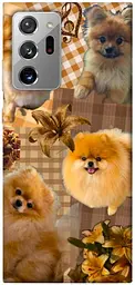 TPU чохол Demsky Spitz aethtetic для Samsung Galaxy Note 20 Ultra