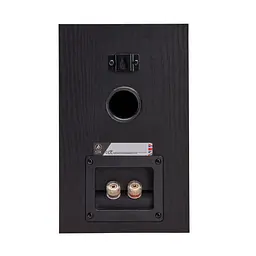 Полиця акустика Fyne Audio F300i Black Ash - мініатюра 2