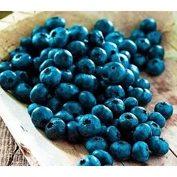 Саджанець Agro-Market Лохина (чорниця садова) Бріджита Блю (Brigitta Blu) (пізній термін дозрівання) 1 саджанець (21310) - мініатюра 2