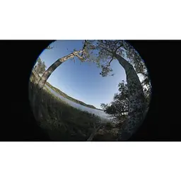 Об'єктив Canon RF 7-14mm f/2.8-3.5L Fisheye STM (7343C005) [171548] - мініатюра 11
