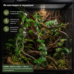 Штучна ліана Hobby Jungle Vine 2 100 см (37703) - гнучка декоративна рослина для тераріуму, акватераріуму та палюдаріуму - мініатюра 4
