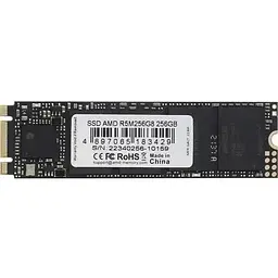 Твердотільний накопичувач SSD AMD 256Gb teh0023774