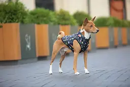 Курточка для собак Waudog Clothes, Рік та Морті 2, M50 - мініатюра 4