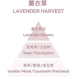 Ароматична свічка Plantes & Parfums Recolte de la Lavande 180 г - мініатюра 3