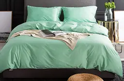 Постільна білизна L&M Home Textiles євро розмір з вареної бавовни не вимагає прасування 100% бавовна 200х230 см М'ятний Туреччина - мініатюра 2
