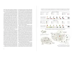 Формула смаку. Виклад науки високого куховарства + понад 100 вибраних рецептів - Нік Шарма - мініатюра 5