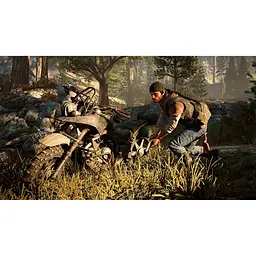 Гра Days Gone для PS4 (RU) [80106] - мініатюра 7