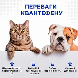 Таблетки антигельмінтні ModeS Kvantefen для котів та собак малих порід 4 шт. - мініатюра 6