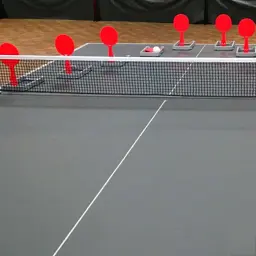 Тренажер для настільного тенісу Gewo Flip-Paddle Set (931316) - мініатюра 6