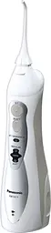 Іригатор Panasonic EW1411H321-AS з 4 насадками - мініатюра 2