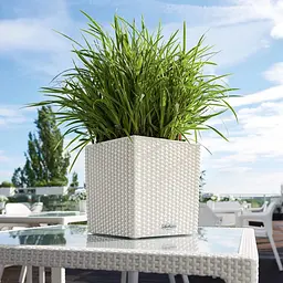 Вазон Lechuza Cottage Cube, 12 л, мокко (15375) - мініатюра 7