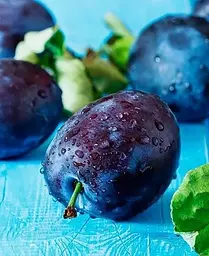 Саджанець Agro-Market Слива Геркулес (39957) 1 шт. в упаковці - мініатюра 4