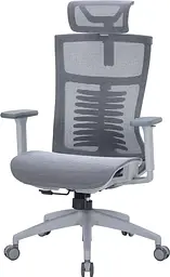 Офісне крісло OfficePro Balance OC620-G-DG-DG (OC620-G-DG-DG) - мініатюра 2