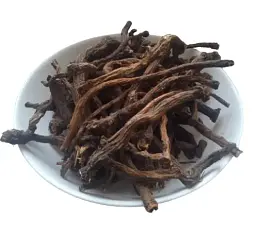 Кульбаба Корінь Бабка Пустодуй Маївка Taraxacum officinale Taraxacum officinale