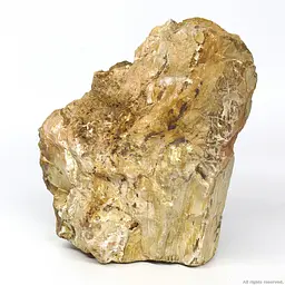 Декоративний природній камінь Hobby Petrified Wood M 1-2.2кг (40687) - мініатюра 2