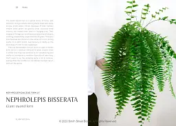 Plantopedia - мініатюра 5