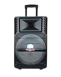 Колонка Big PK-1211 bluetooth + мікрофон (360х280х560) USB/MO3/FM/TWS Чорний