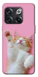 Чохол Demsky Сat chill для OnePlus 10T
