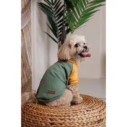 Футболка Pet Fashion Kent для собак S - мініатюра 8