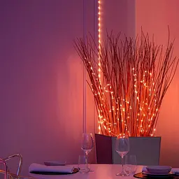 Twinkly Гірлянда Smart LED Twinkly Dots Lights RGB 400 IP44 20м кабель чорний - мініатюра 4