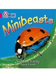 Big Cat  1A Minibeasts.