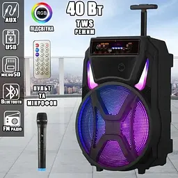 Портативна акустика XPRO MD13-12L з мікрофоном 12" еквалайзер MP3 Wi-Fi (MER-15728_2718) - мініатюра 5