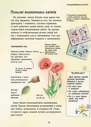 Стежками природи. Дикі квіти - Сара Кан - мініатюра 9