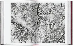 Sebastiao Salgado. Genesis. 45th Edition - мініатюра 9