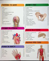 Енциклопедія знань. Тіло людини - мініатюра 4