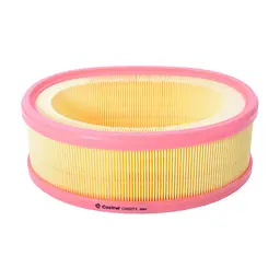 Повітряний фільтр для автомобіля Castrol Filters CA0271