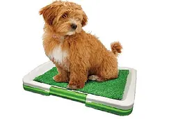 Туалет для собак Puppy Potty Pad MH-872 - мініатюра 8