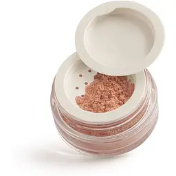 Рум'яна Paese Minerals 301N Dusty Rose 6 г - мініатюра 3