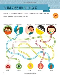 My First Book about the Five Senses: Montessori Activity Book - мініатюра 4